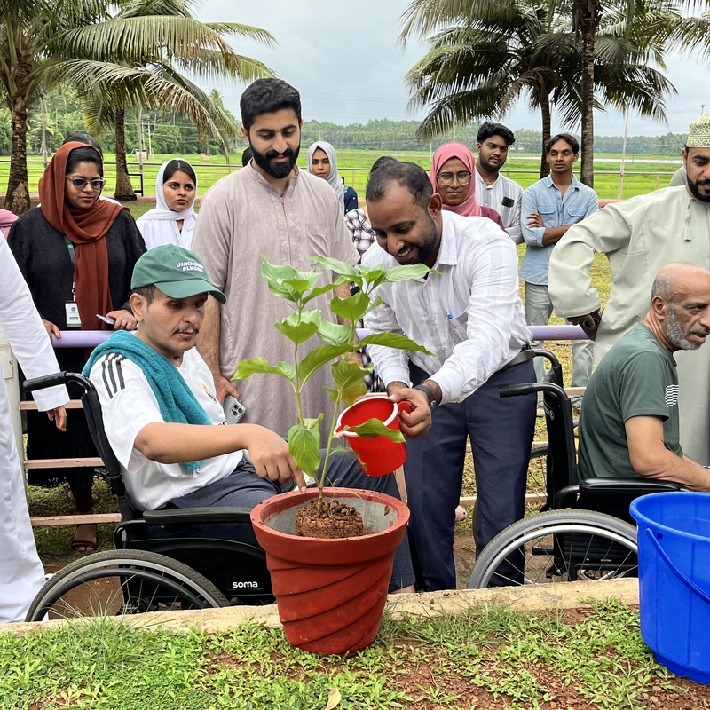 Gardening therapy and outdoor activity session during recovery